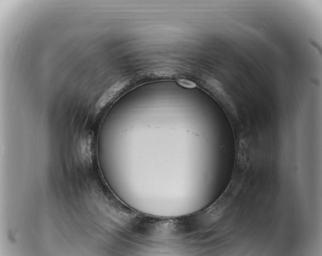 X0000102250116200808011320