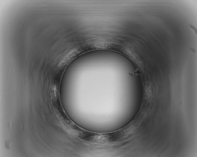 X0000102250117200808011320