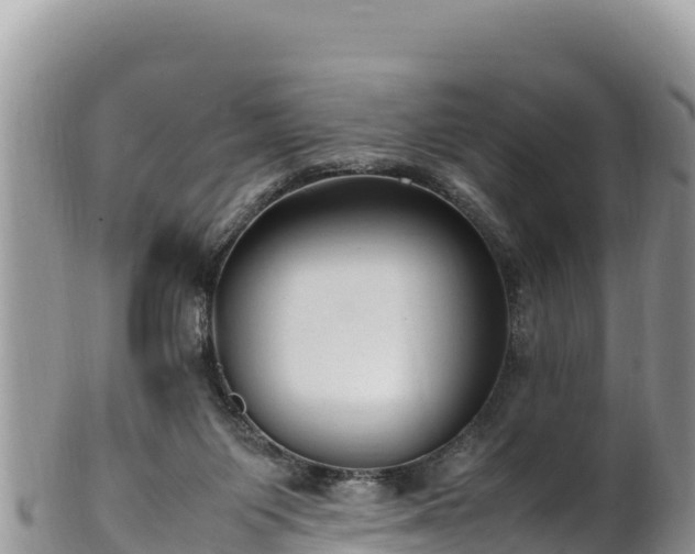 X0000102250119200808011320