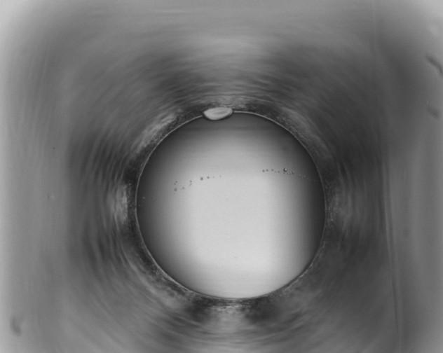 X0000102250120200808011320