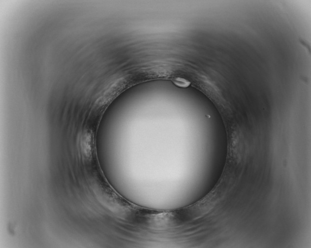 X0000102250122200808011320