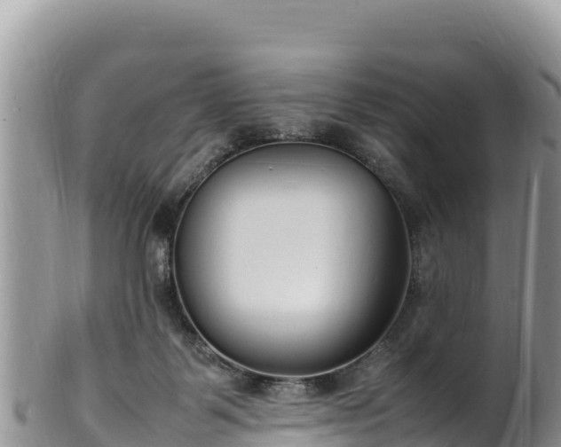 X0000102250123200808011320