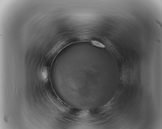 X0000102250124200808011320