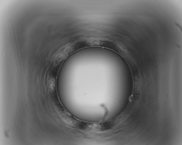 X0000102250125200808011320