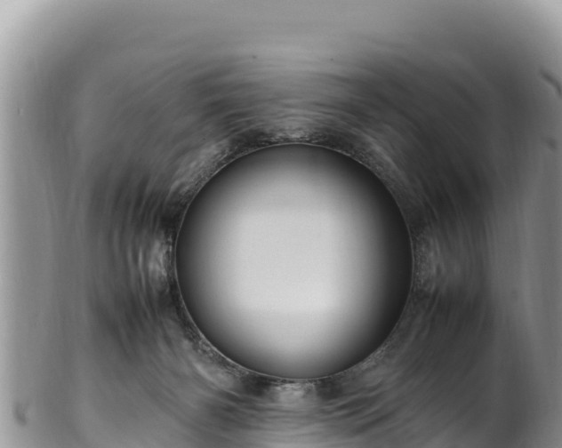 X0000102250126200808011320