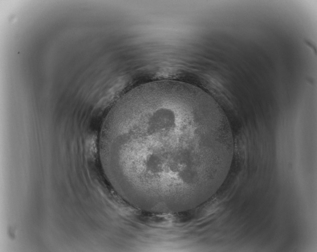 X0000102250127200808011320