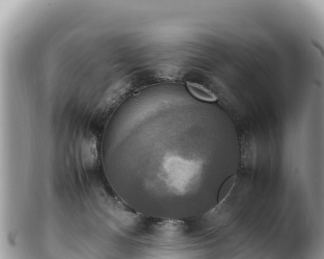 X0000102250128200808011320