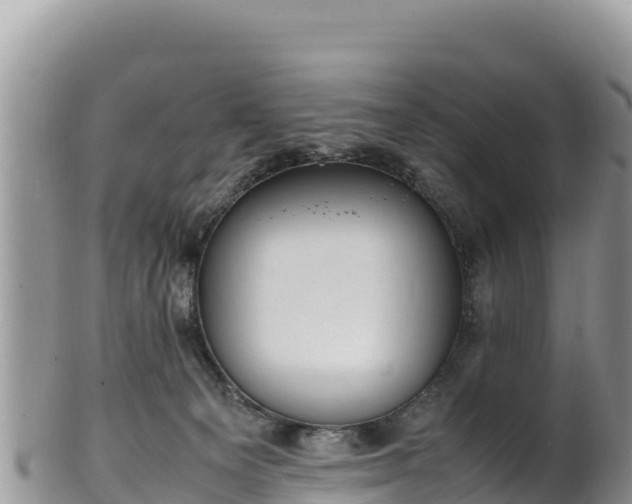 X0000102250129200808011320