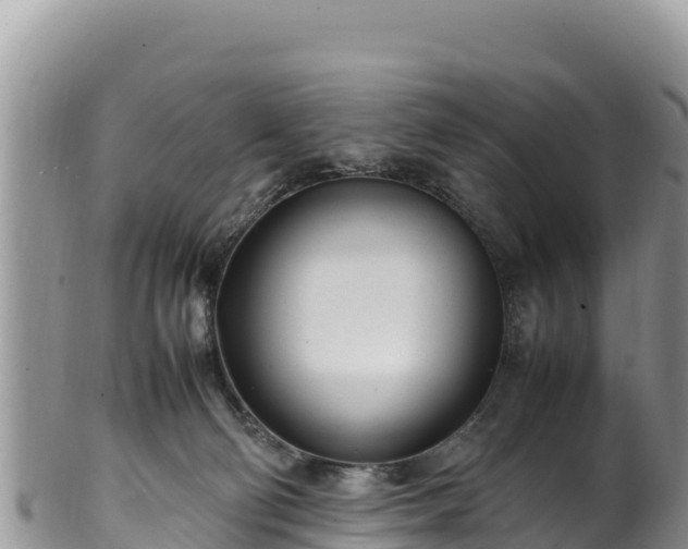 X0000102250130200808011320