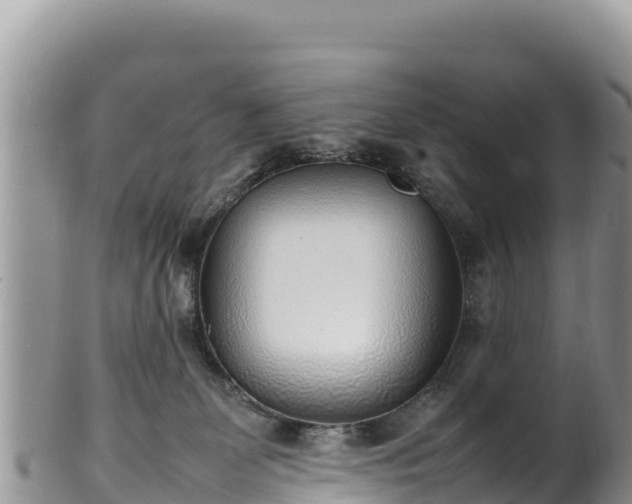 X0000102250131200808011319