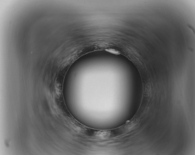 X0000102250135200808011319