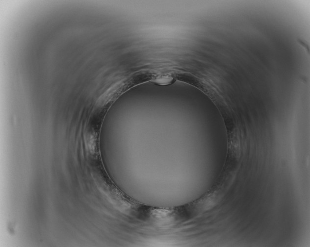 X0000102250139200808011319