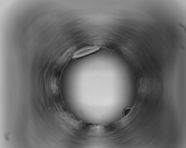 X0000102250140200808011319