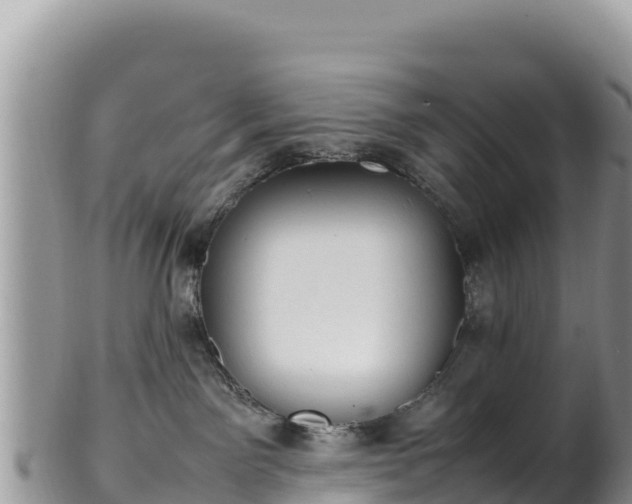 X0000102250141200808011319