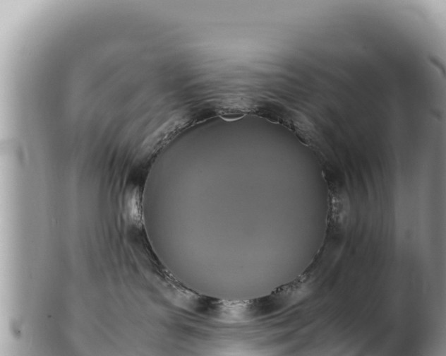 X0000102250143200808011319