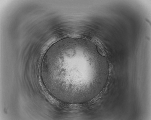 X0000102250145200808011319