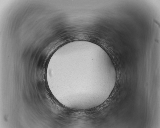 X0000102250146200808011319