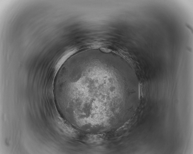 X0000102250147200808011319