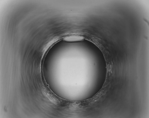 X0000102250148200808011319