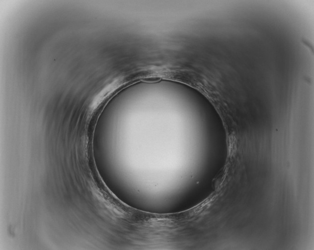 X0000102250150200808011319