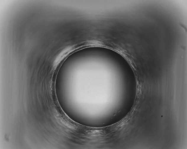 X0000102250151200808011319