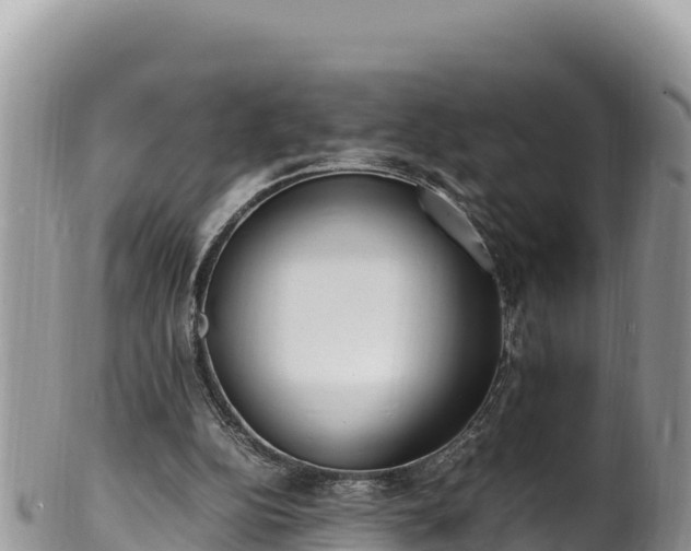 X0000102250152200808011319