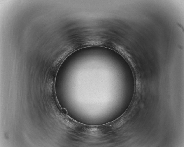 X0000102250153200808011319