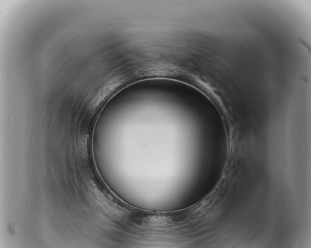 X0000102250154200808011319