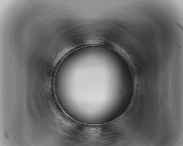 X0000102250155200808011319