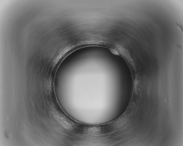 X0000102250156200808011319