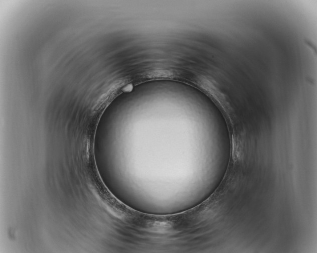 X0000102250157200808011319