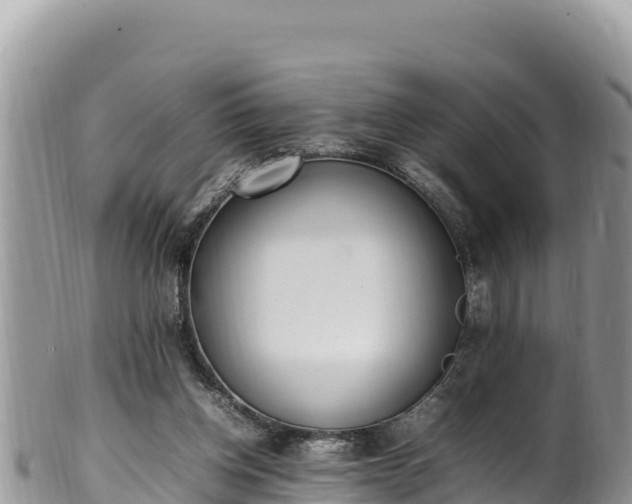 X0000102250158200808011319