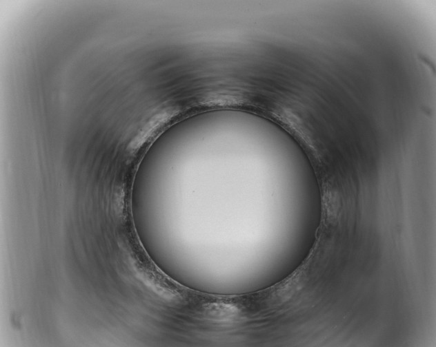 X0000102250159200808011319