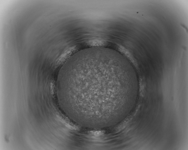 X0000102250161200808011319