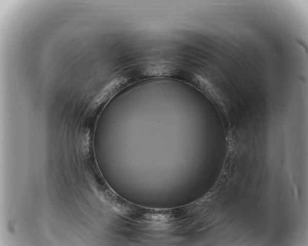 X0000102250163200808011319