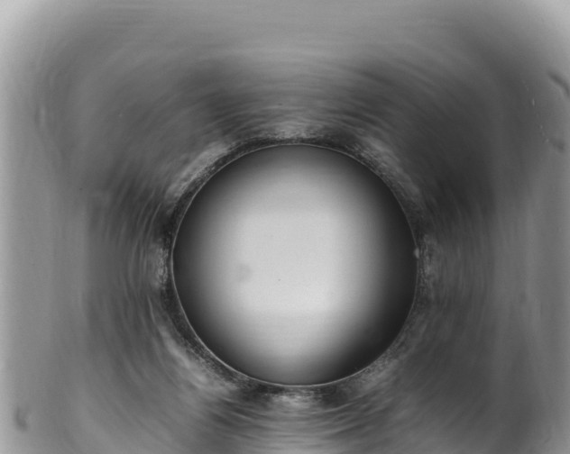 X0000102250164200808011319