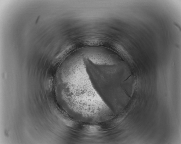 X0000102250165200808011319