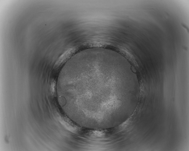 X0000102250166200808011319