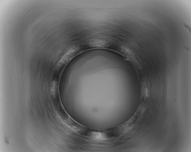 X0000102250167200808011319