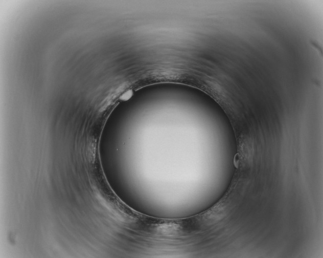 X0000102250168200808011319