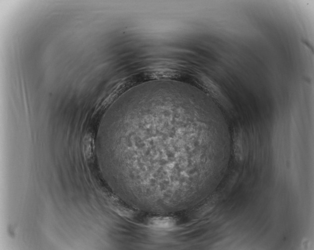 X0000102250169200808011319