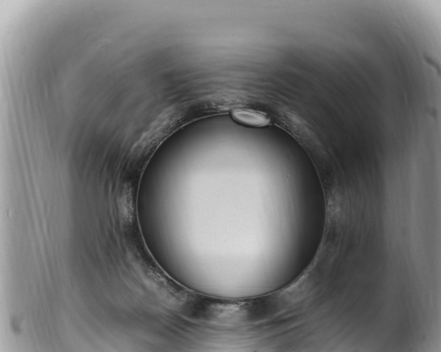 X0000102250170200808011319