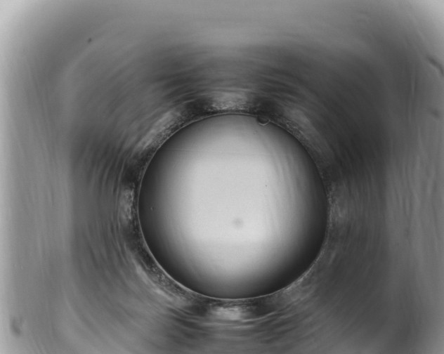 X0000102250171200808011319