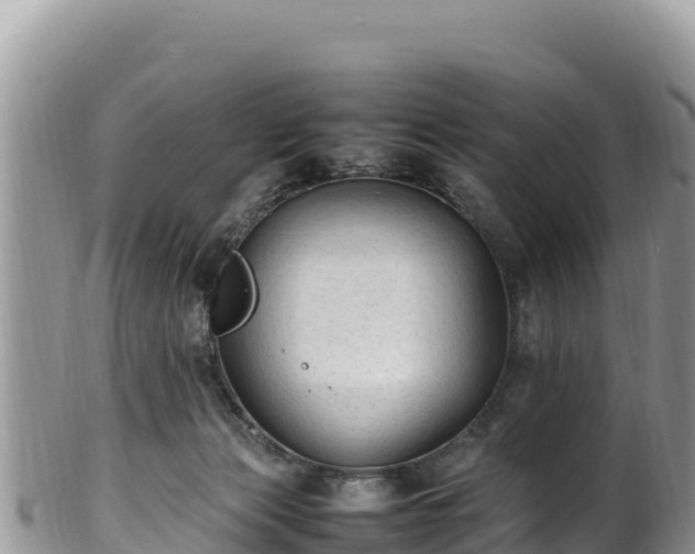 X0000102250173200808011319