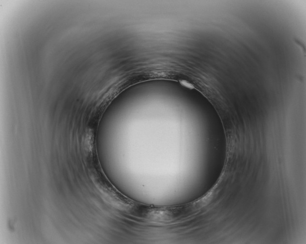 X0000102250174200808011319