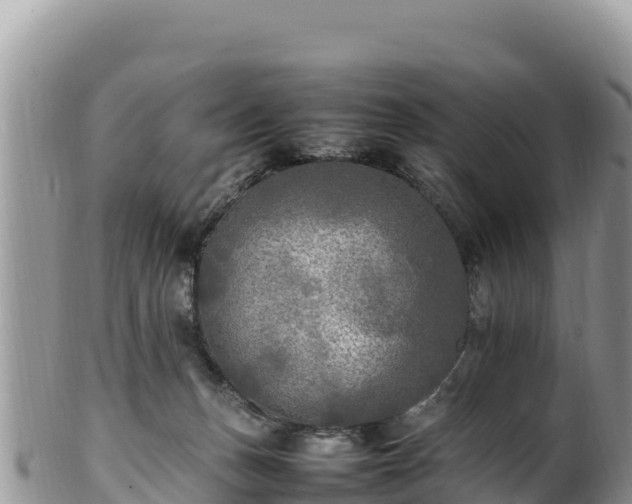 X0000102250175200808011319