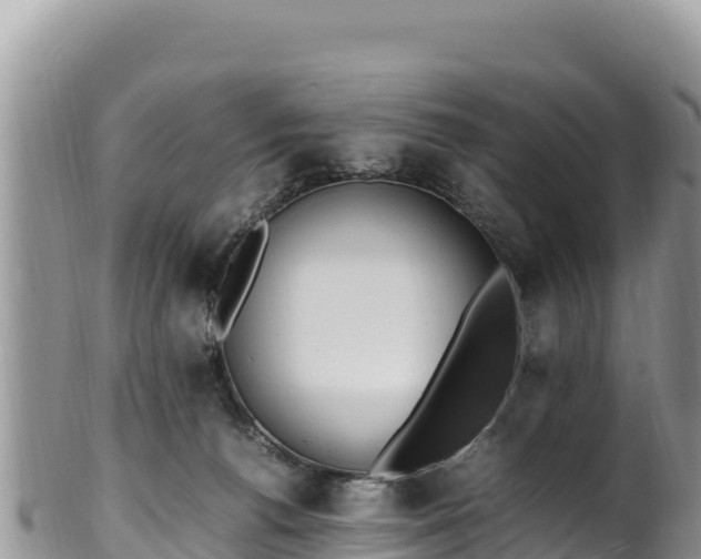 X0000102250176200808011319