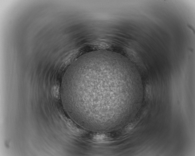 X0000102250177200808011319