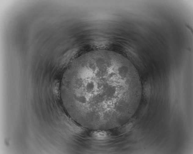 X0000102250181200808011319