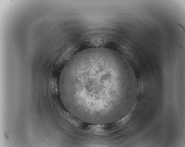 X0000102250182200808011319